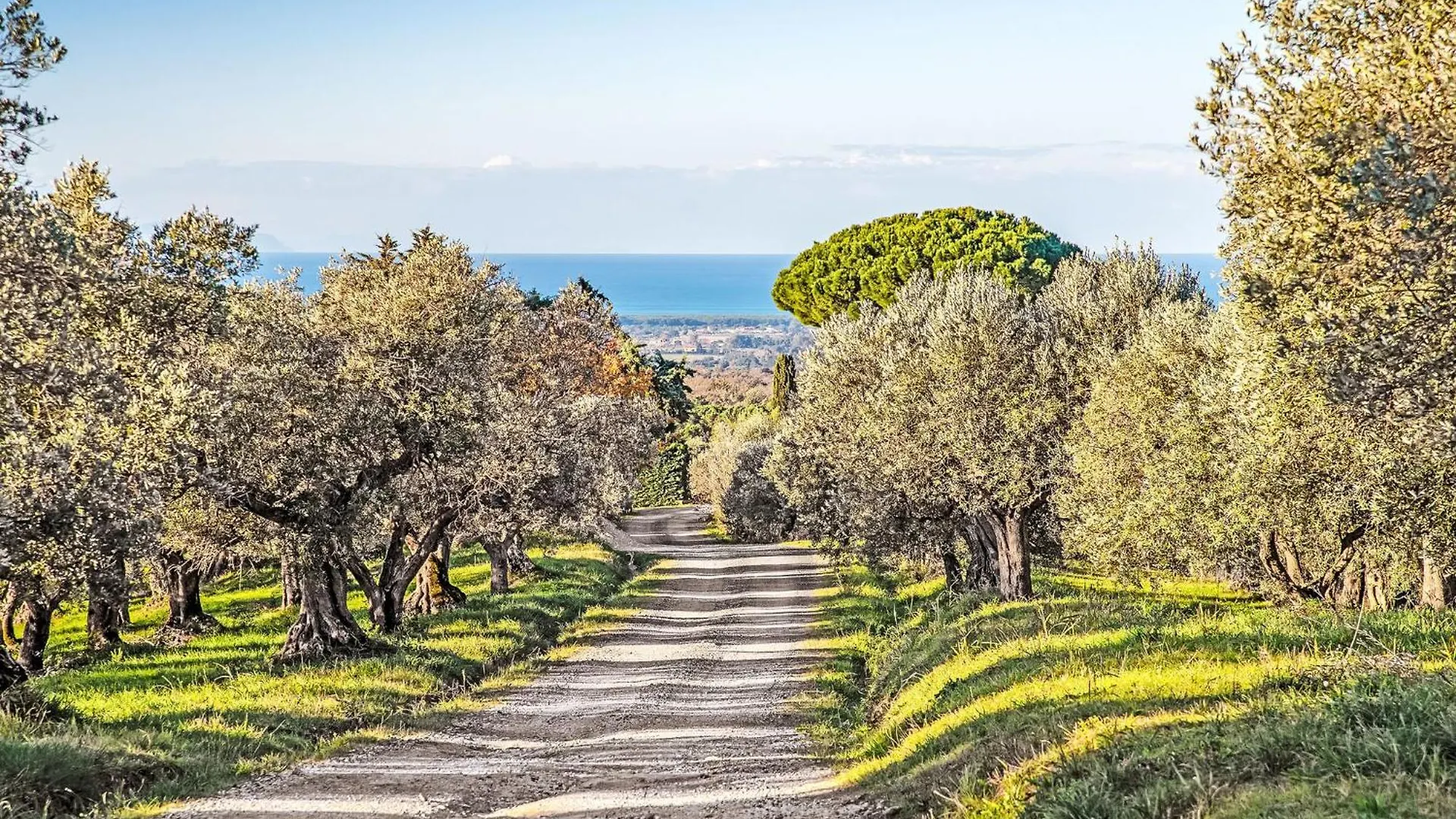 Holiday Home Tramonto By Interhome Casale Marittimo